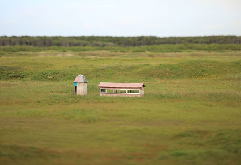 Green field sample image taken with TS E 90mm f 2 8L Macro Tilt Shift
