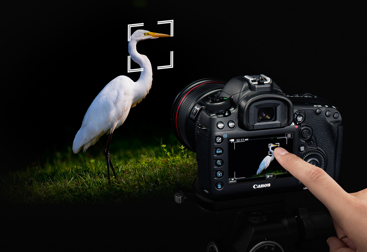 Touch autofocus