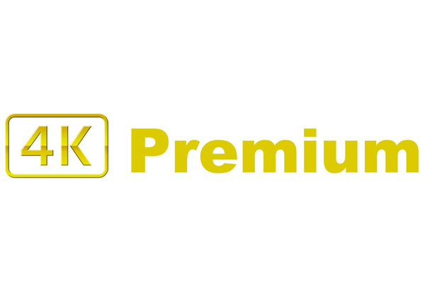 4K Premium logo gold