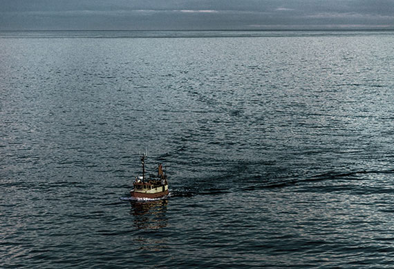 Canon advanced surveillance