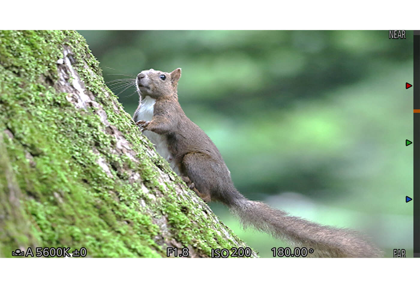 Cinema EOS Expansion Unit EU-V3 Focus position guide