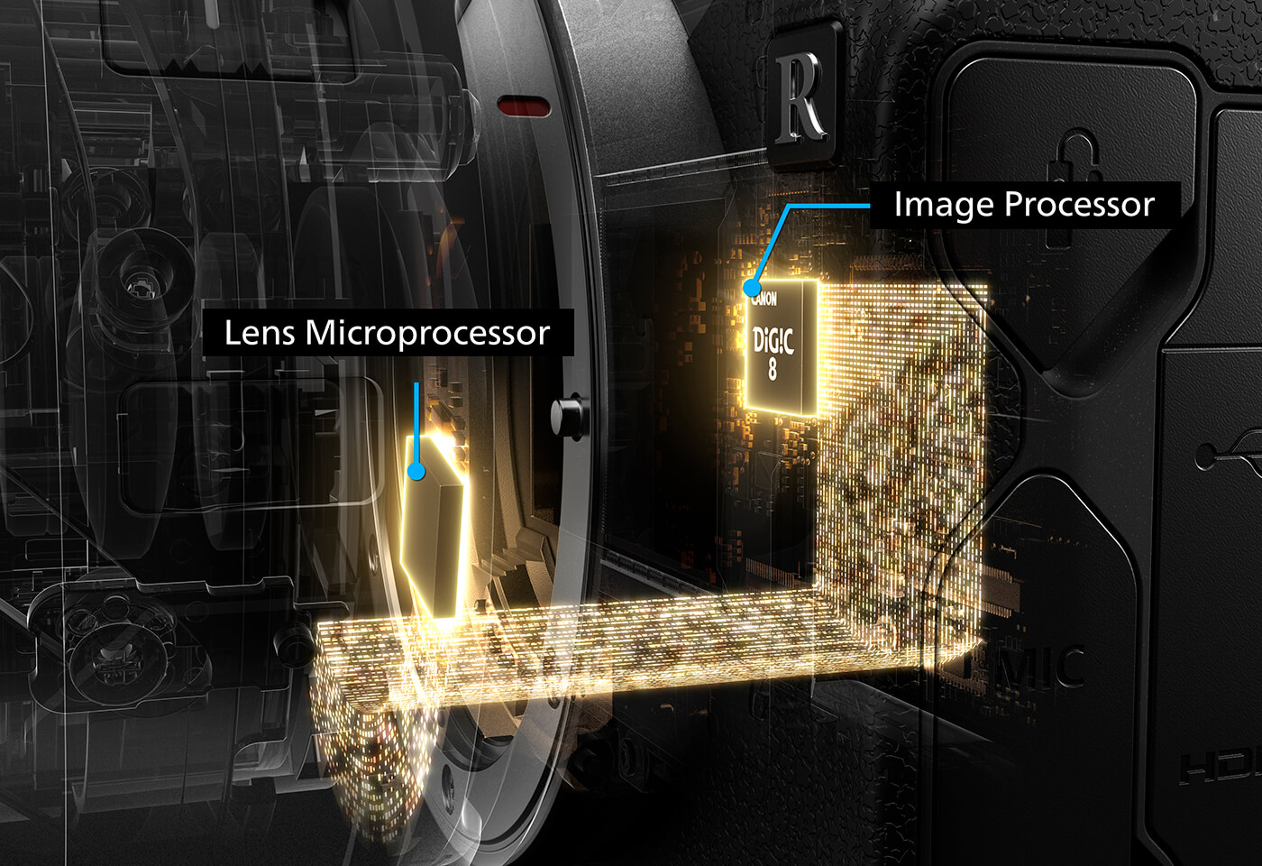 EOS R Lens Microprocessor and DIGIC 8 Image Processor