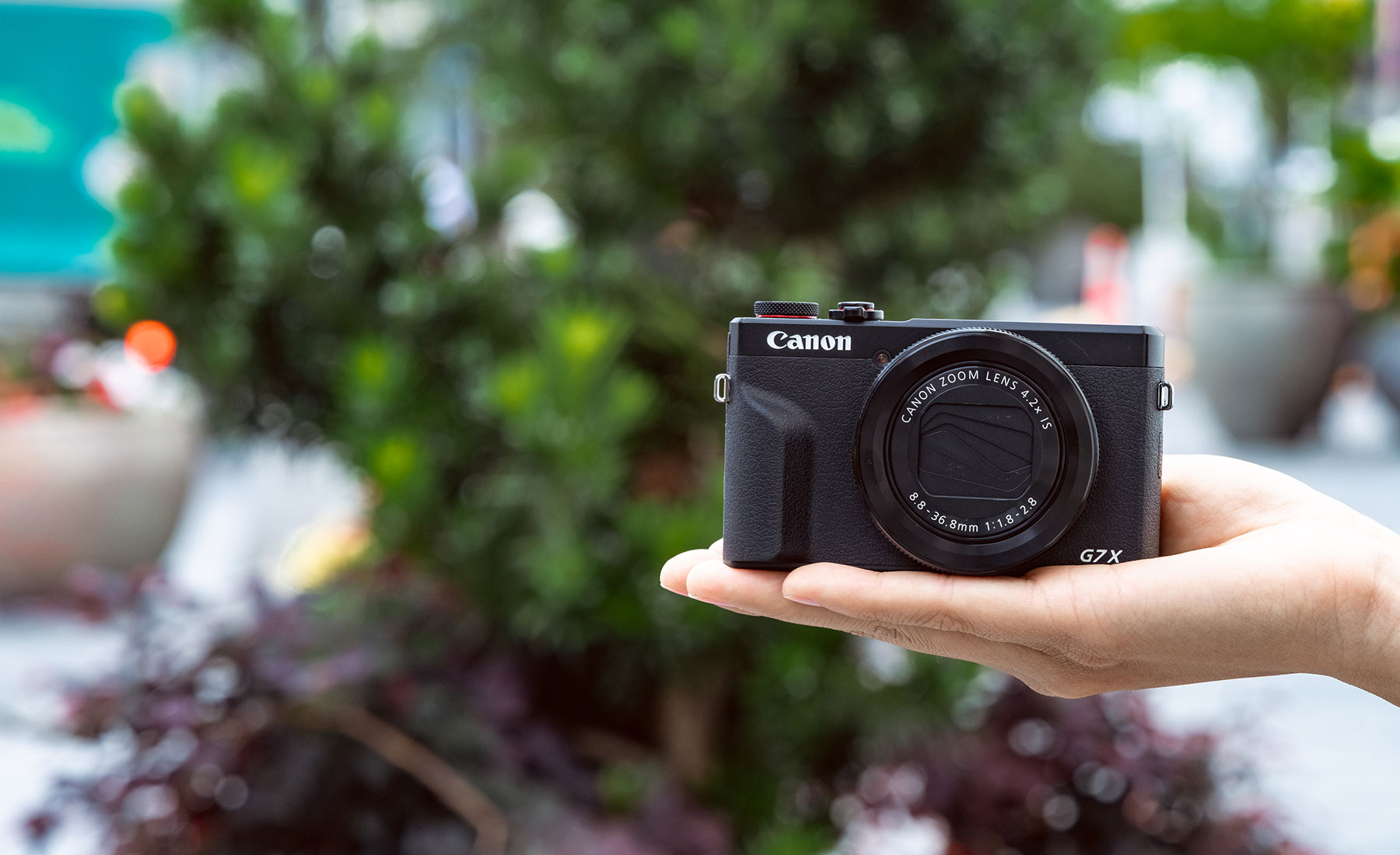 Creator Pro Standard Edition