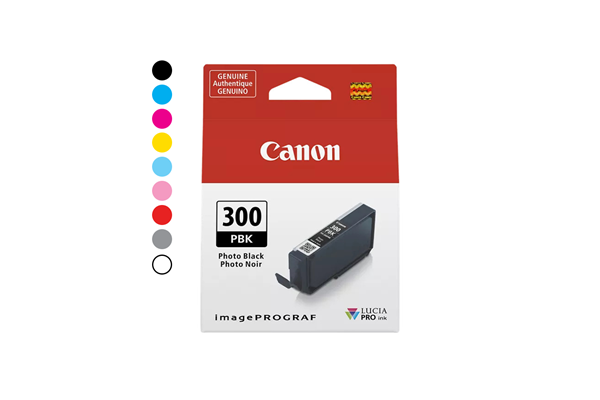 Ink Cartridge PFI-300