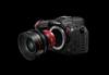 CN-R 24mm T1.5 L F cinema lens in EOS R5 C camera