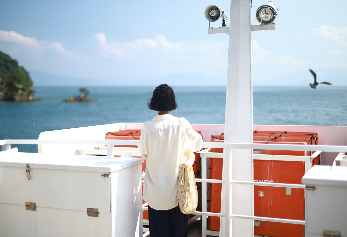 Feature Image of RF 45mm f/1.2 STM