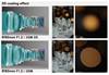 RF 85mm f/1.2L USM DS prime lens beautiful bokeh