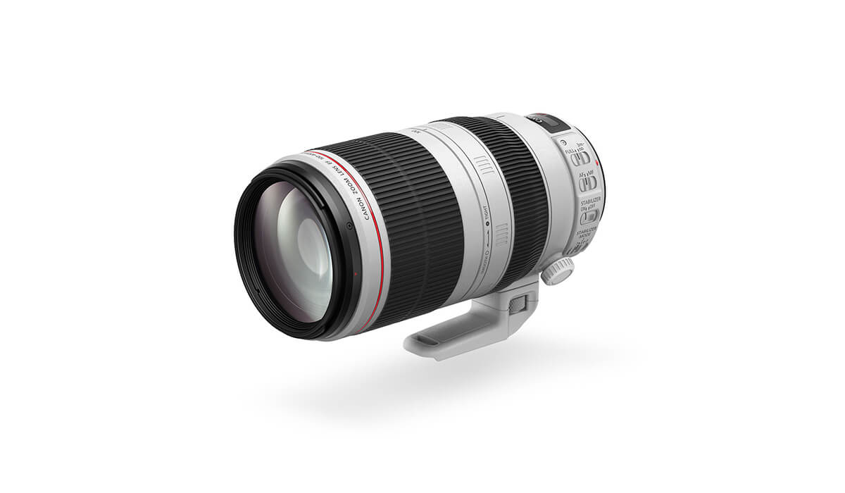 EF 100-400mm f/4.5-5.6L IS II USM lens | Canon Australia