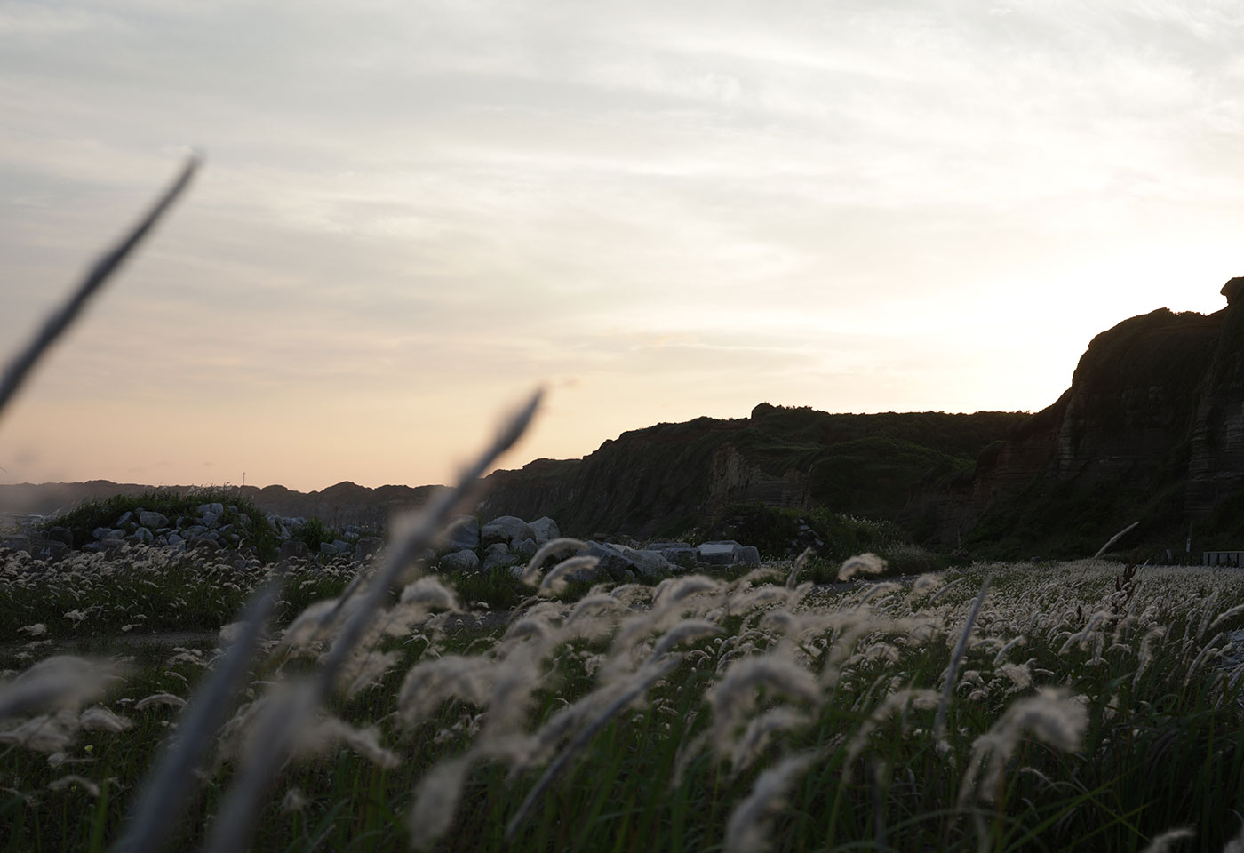 Image of a grassfield taken with the RF 28-70mm f/2.8 IS STM lens