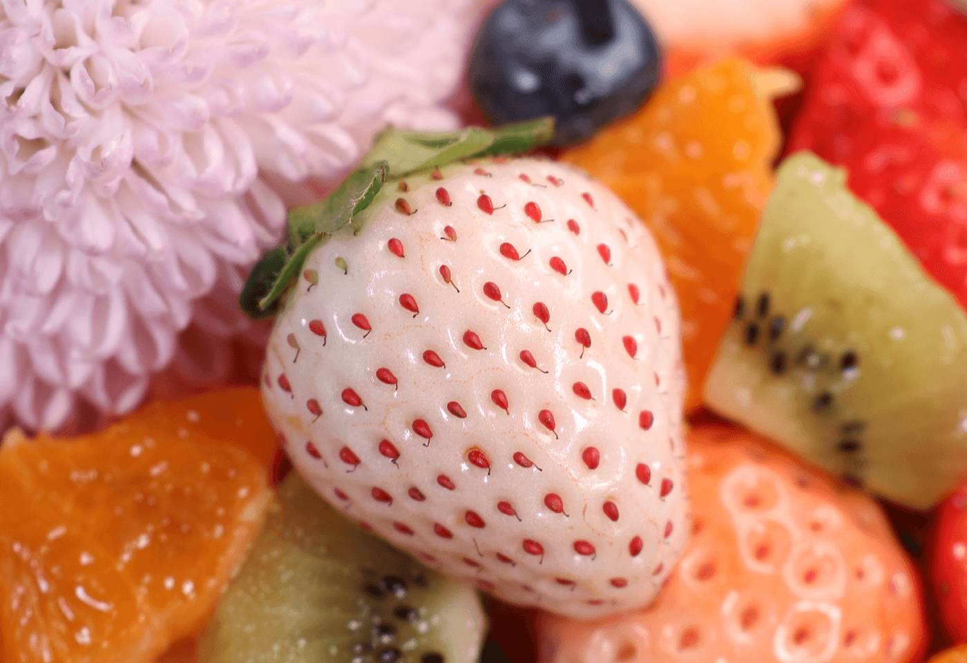 Image of a white strawberry taken using RF-S 18-150mm f/3.5-6.3 IS STM standard zoom lens