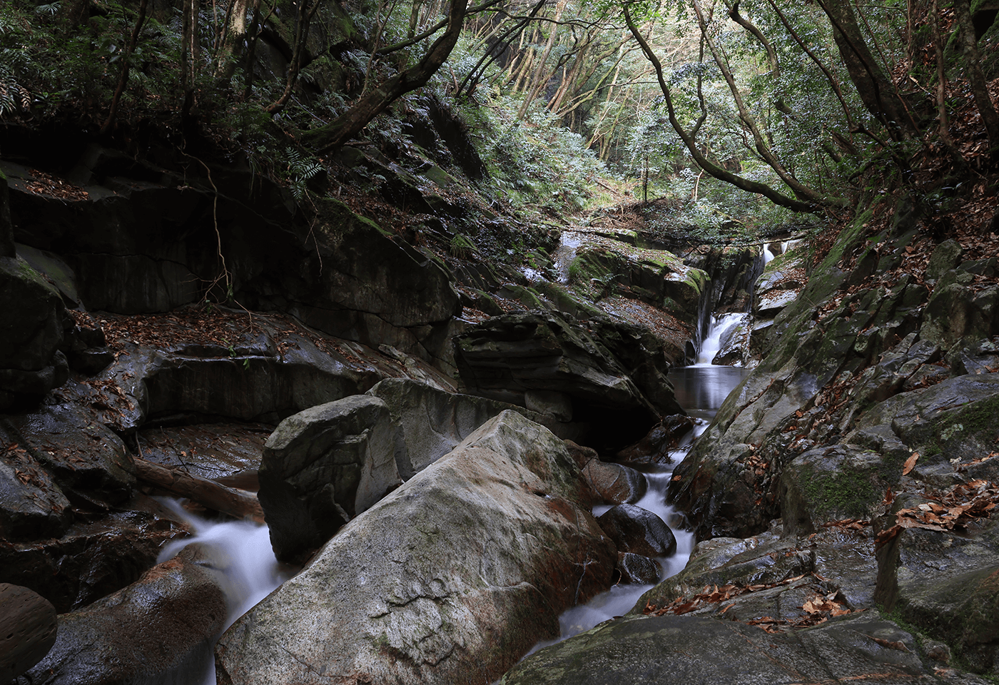 Image of a rocky forest taken using RF-S 18-150mm f/3.5-6.3 IS STM standard zoom lens