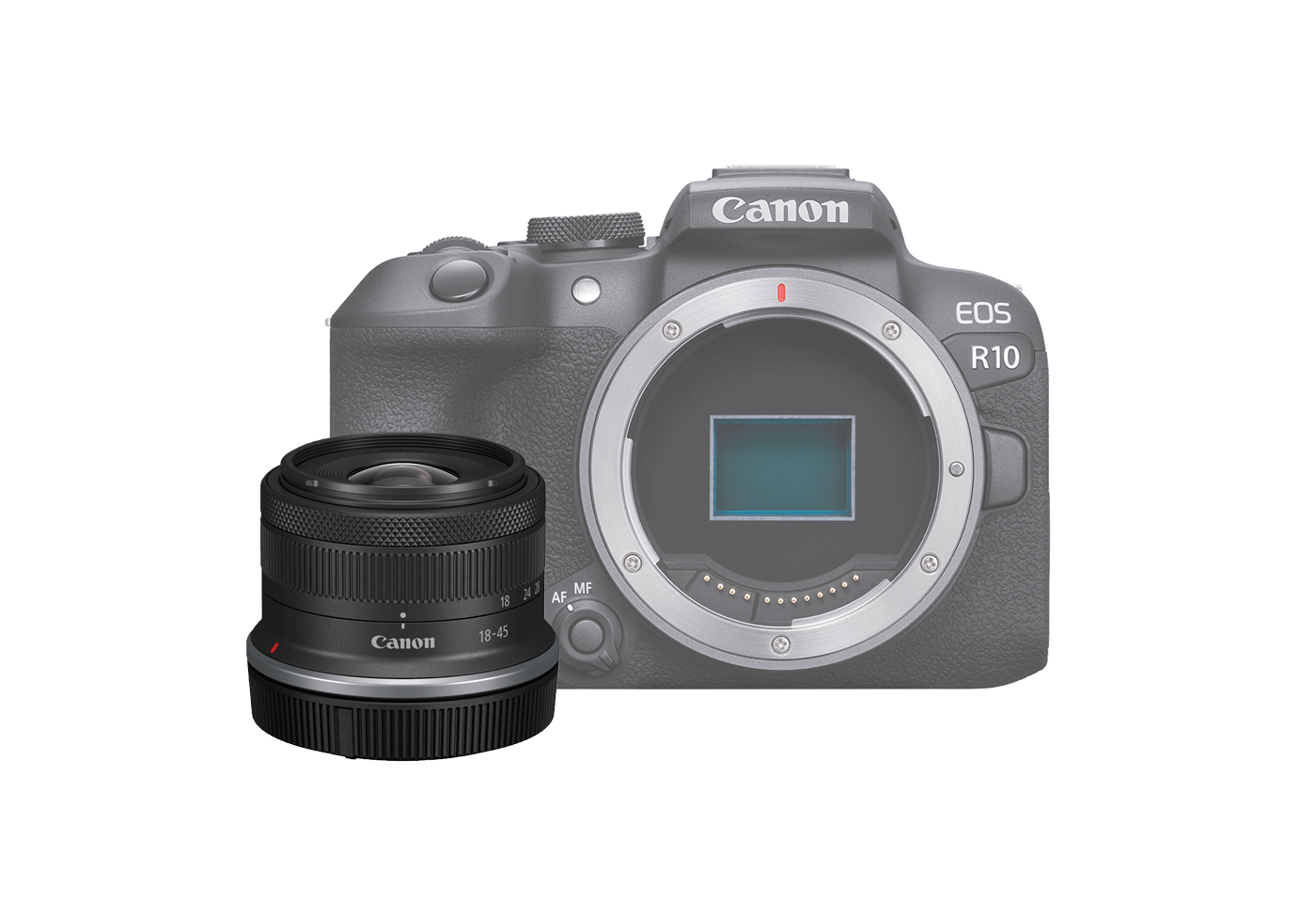 Product image of EOS R7 with RF-S 18-45mm f4.5-6.3 IS STM Tech Sheet IS STM