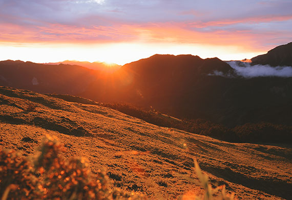 Image of a sunrise on the fields
