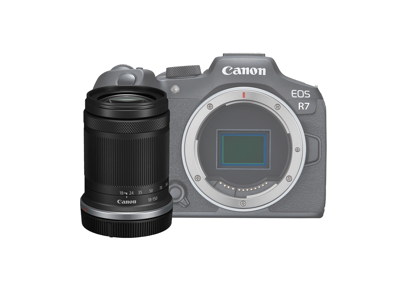 Product image of EOS R7 with RF-S 18-150mm f3.5-6.3 IS STM