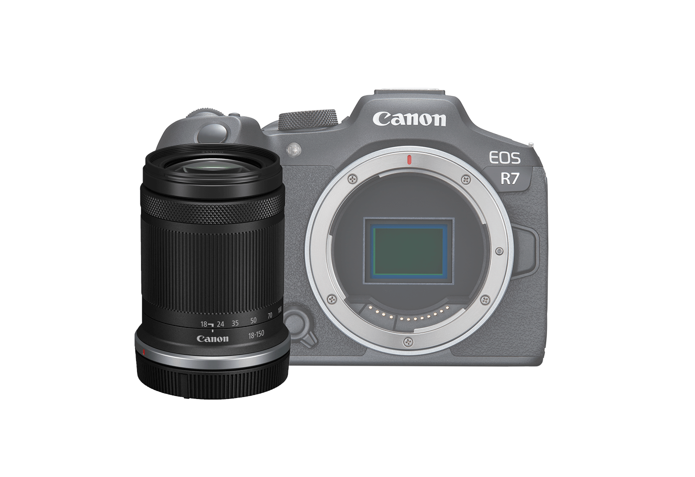 EOS R7 Canon Australia
