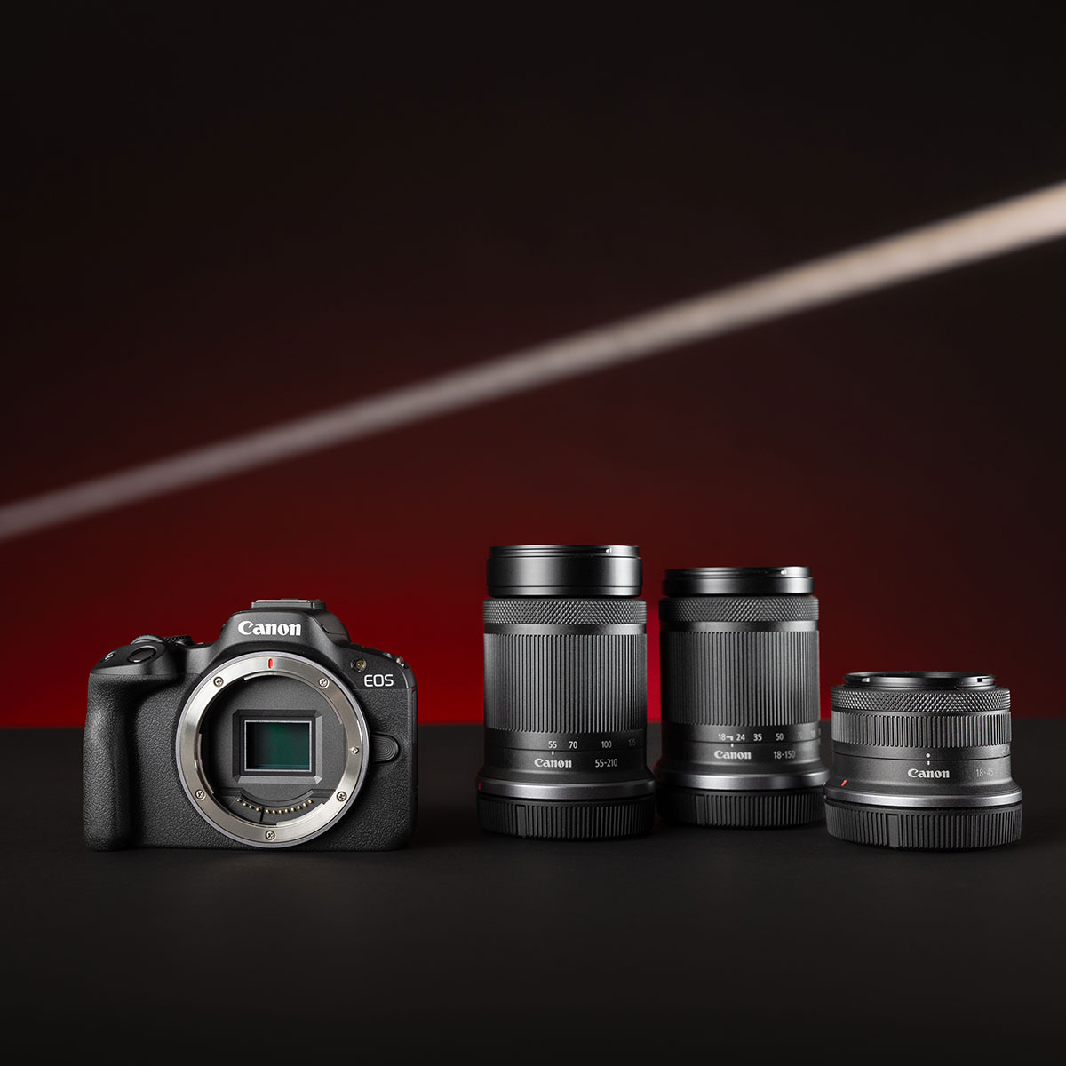 Canon EOS camera and lenses