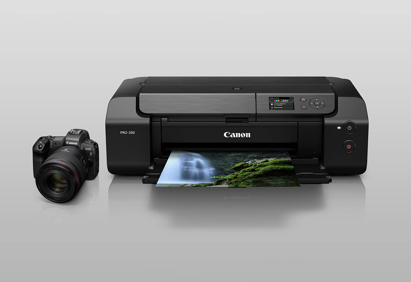 Seamless integration with your professional photo print workflow