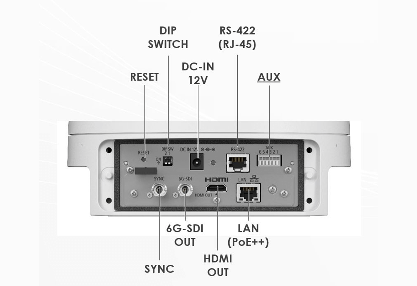 Various Supported IP Protocols