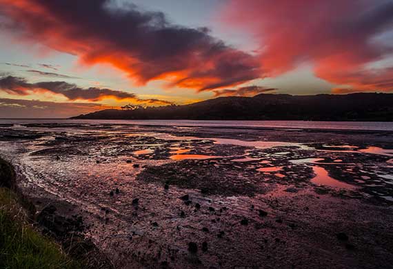 Image of sunset by the seashore taken by Anthony Wrigley