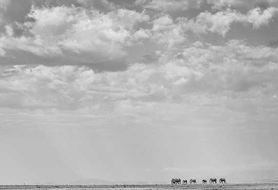 Image of a sky by Gemma Ortlipp