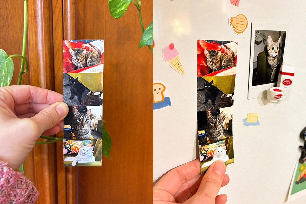 Creative Print Pack Image 2