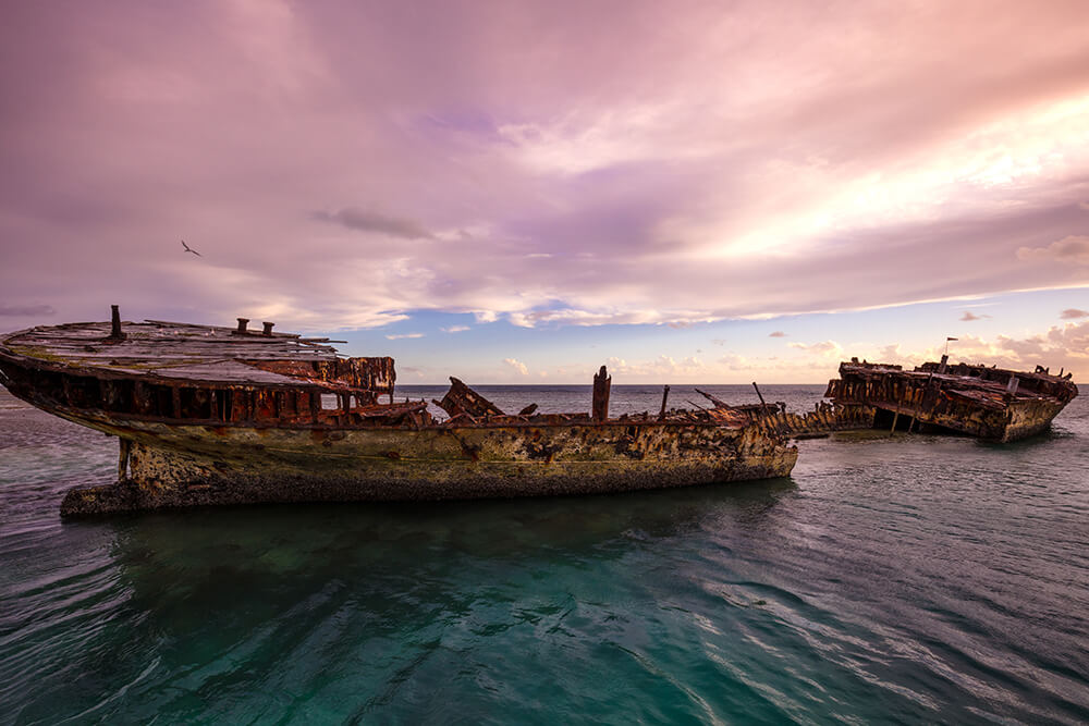 Image of Heron Island by Jay Collier