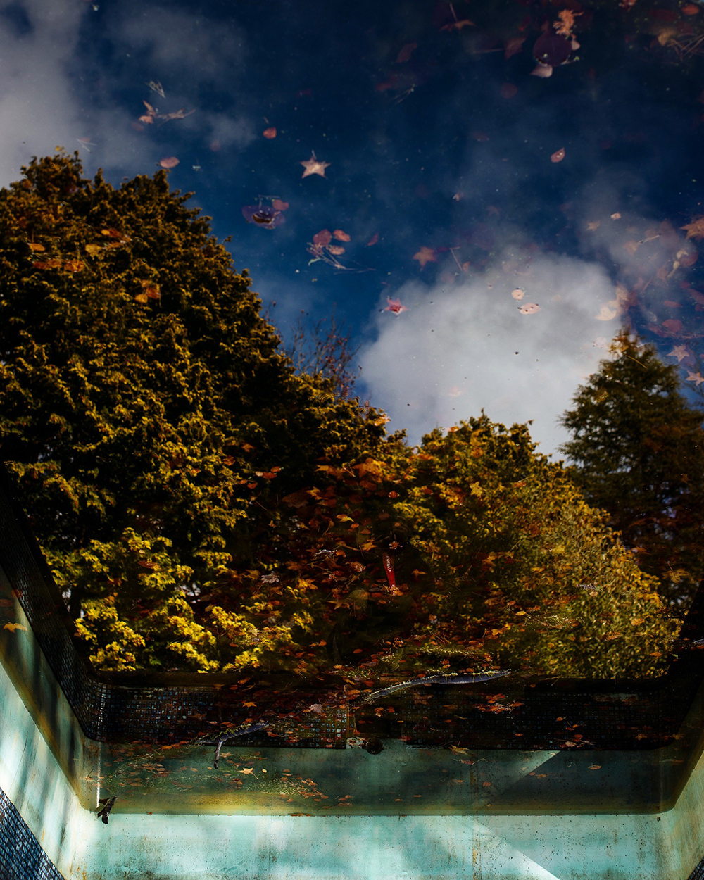 Mount Dandenong by shot on Canon 5D Mark II