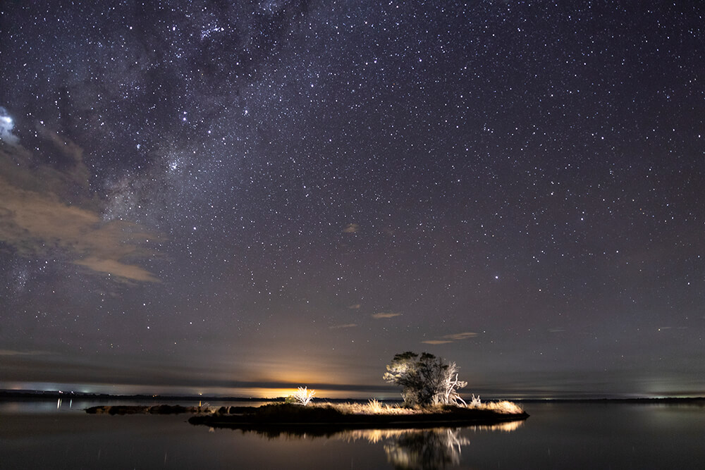 Image of the Thrombolites at Island Point Reserve by Steve Huddy