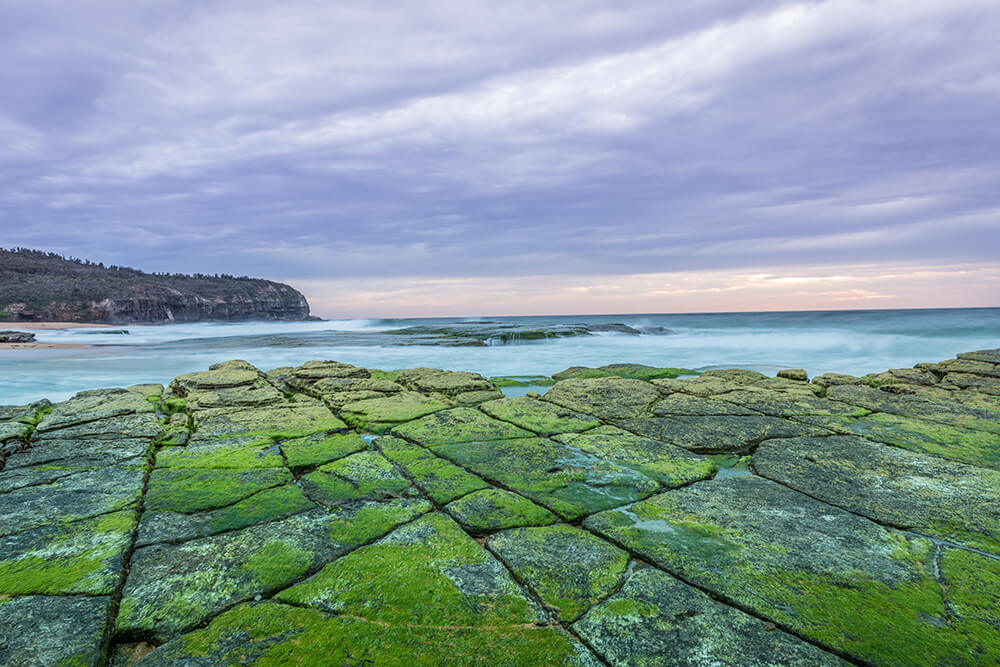 Turimetta by Jenn Cooper