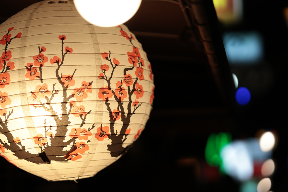 Close-up of an illuminated paper lantern with floral artwork photographed in a low-light environment, showing clean detail, controlled noise and soft out-of-focus lights in the background