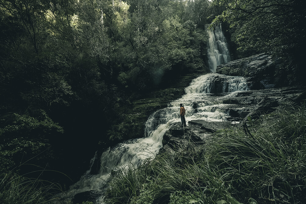 Moody Waterfall, McLean Falls