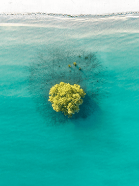 Aerial Photography Videography Tips with Michael Haluwana