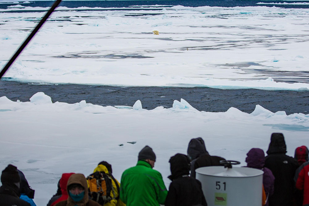 Landscape image of photographers in the artic