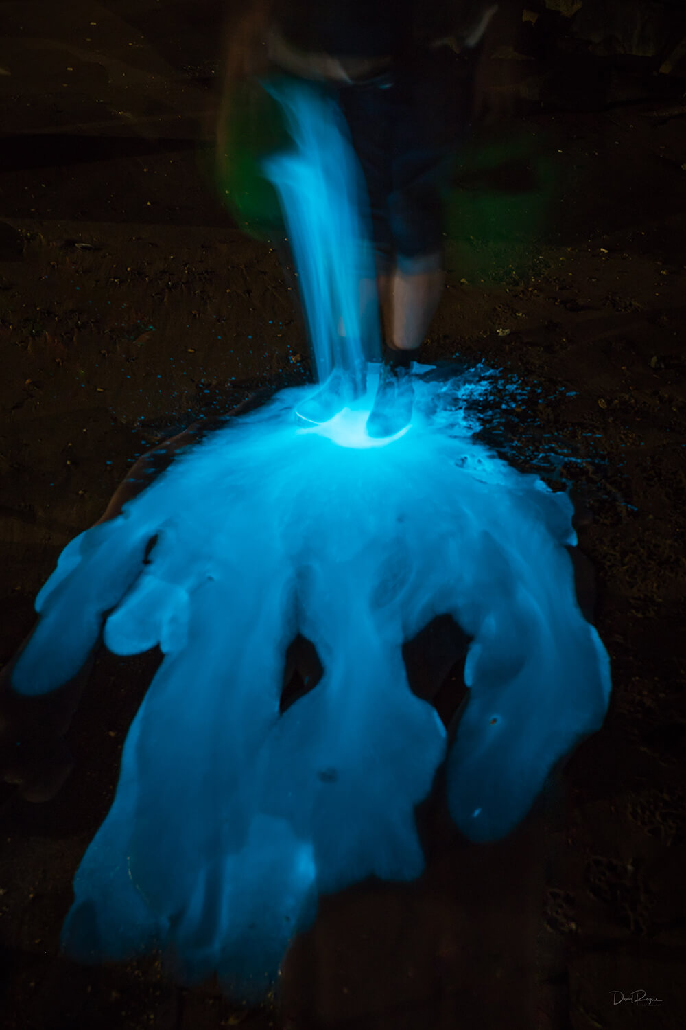 Bioluminescence photo shot on a EOS 6D Mark II and EF 16-35mm f/4L IS USM Lens by Davey Rogers