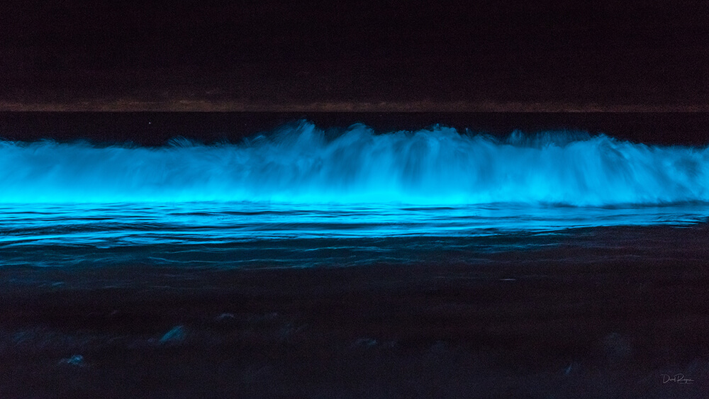 How to Photograph Bioluminescent Oceans