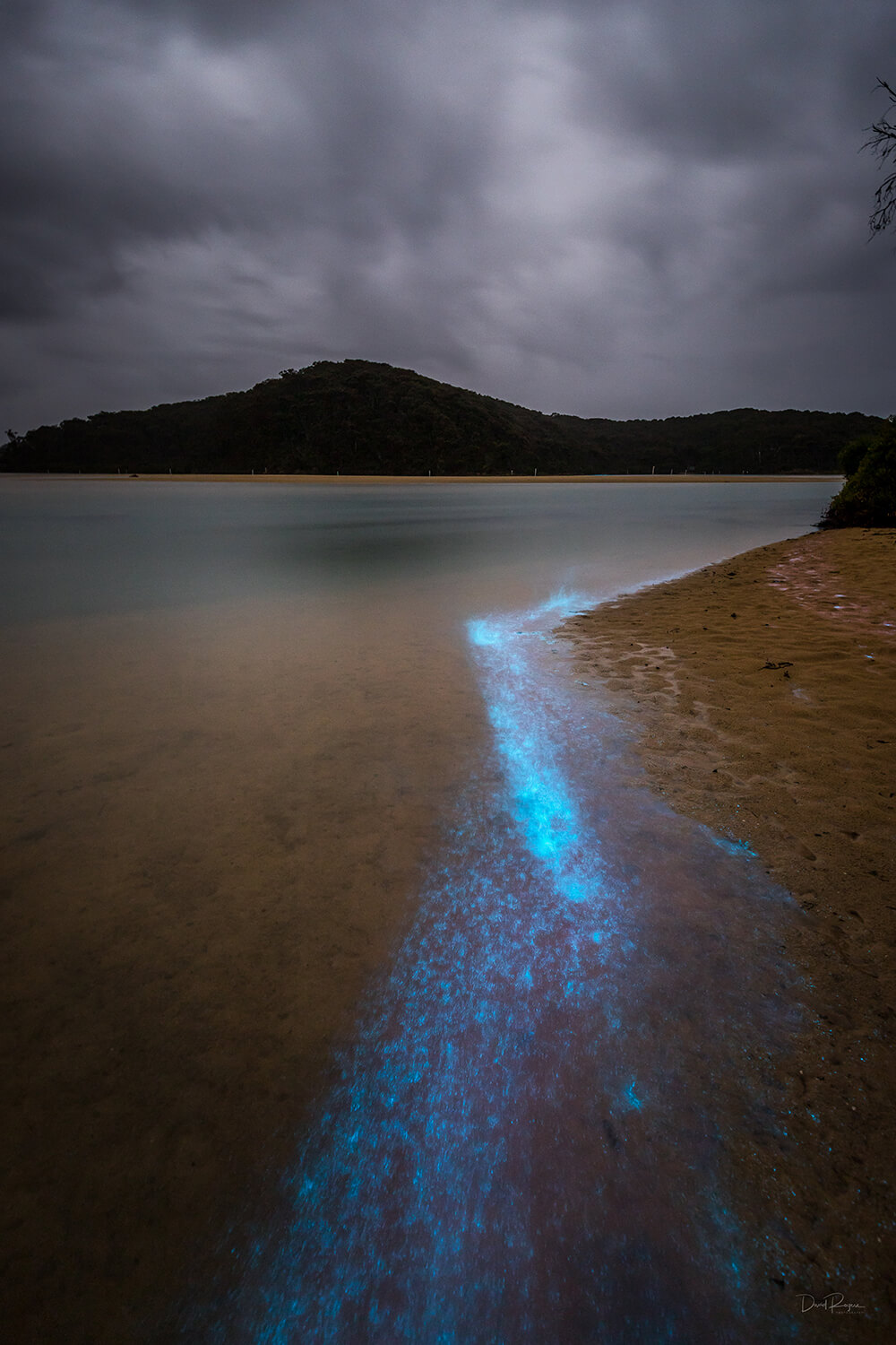 Bioluminescence photo shot on a EOS 6D Mark II and EF 16-35mm f/4L IS USM Lens by Davey Rogers