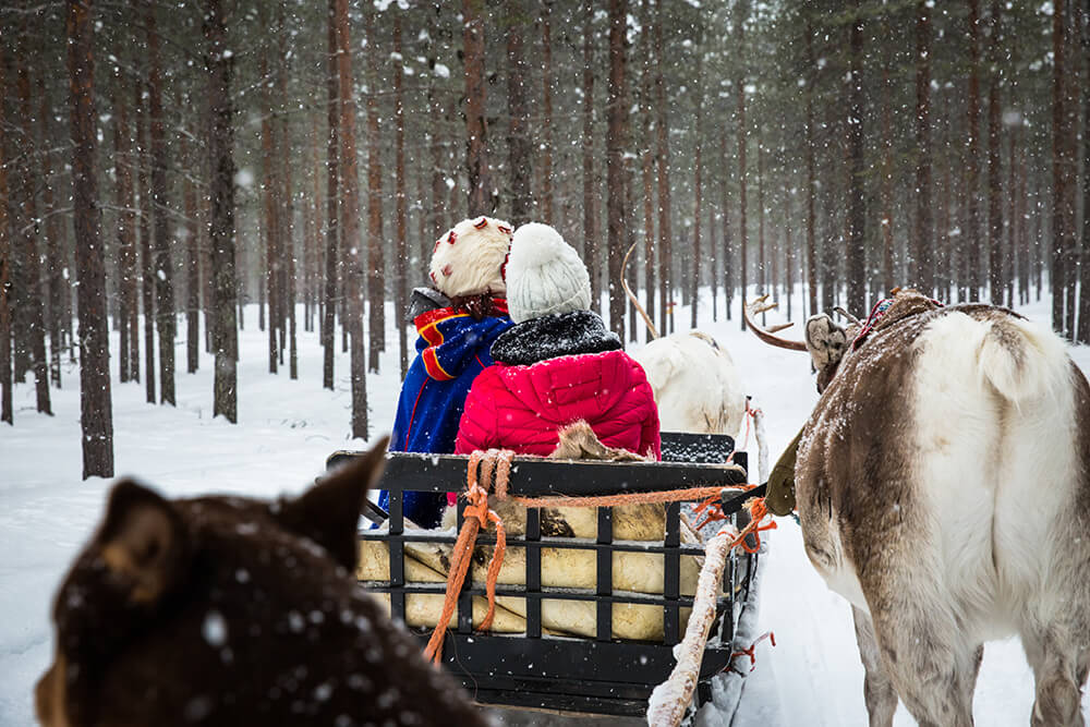 Visiting a reindeer farm in Finnish Lapland.jpg	