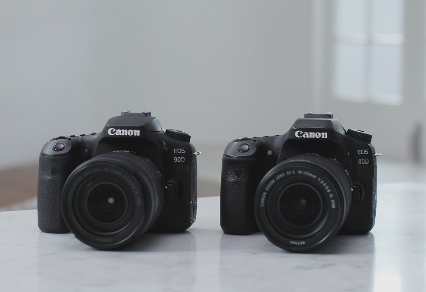 EOS 90D vs EOS 80D Comparison with Gemma Peanut | Canon Australia