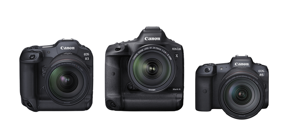 EOS R3 vs EOS-1D X Mark III vs EOS R5 cameras