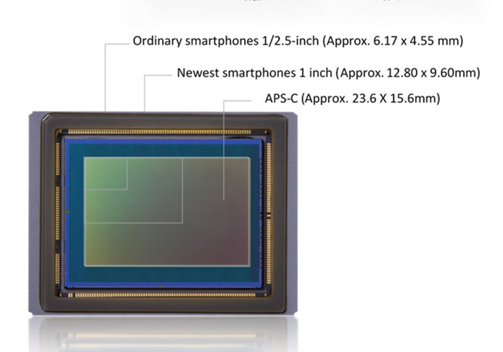EOS R50 vs EOS M50 Mark II vs EOS R10 Comparison Guide body image