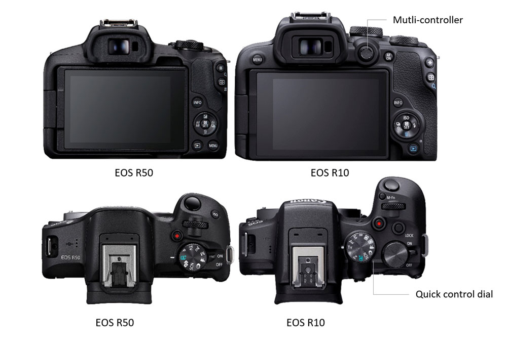 EOS R50 vs EOS M50 Mark II vs EOS R10 Comparison Guide body image