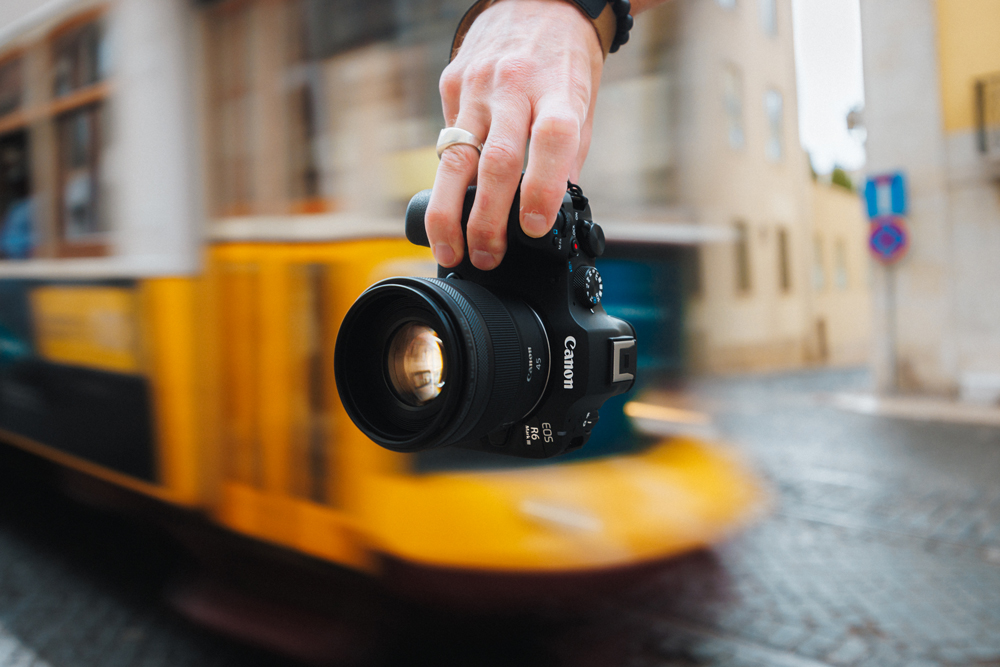 EOS R6 Mark III vs EOS R5 Mark II vs EOS R6 Mark II Image 1