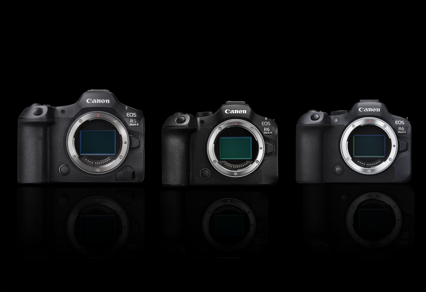 EOS R6 Mark III vs EOS R5 Mark II vs EOS R6 Mark II Tile Image