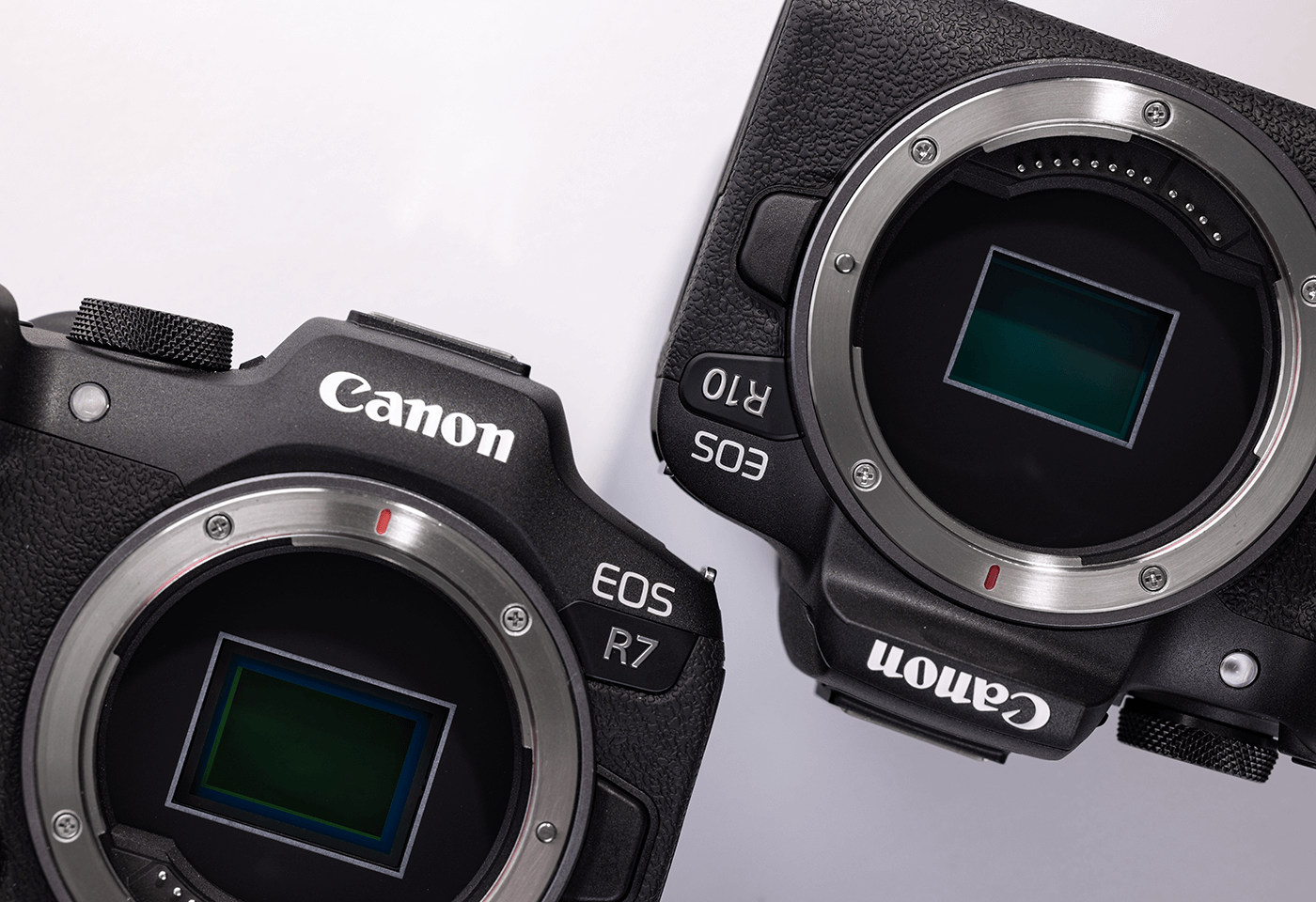 EOS R7 and EOS R10 Feature Comparison Canon Australia