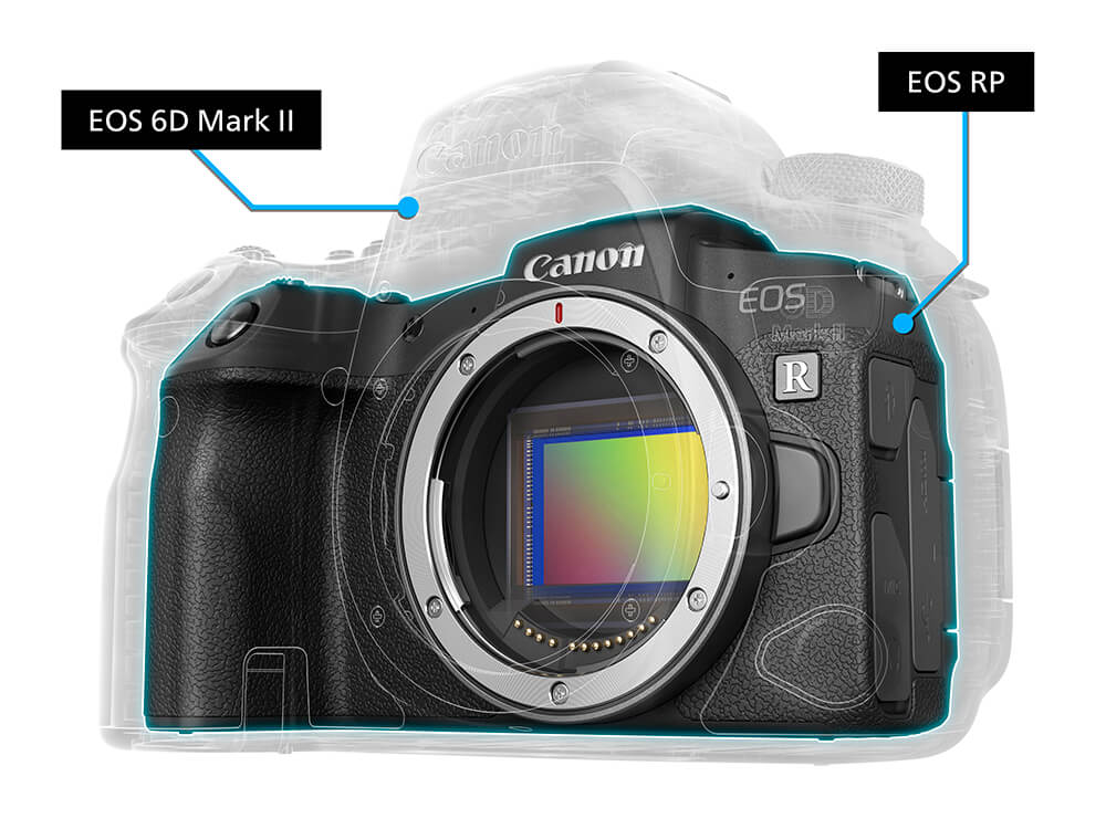 6D Mark II vs EOS RP size comparison