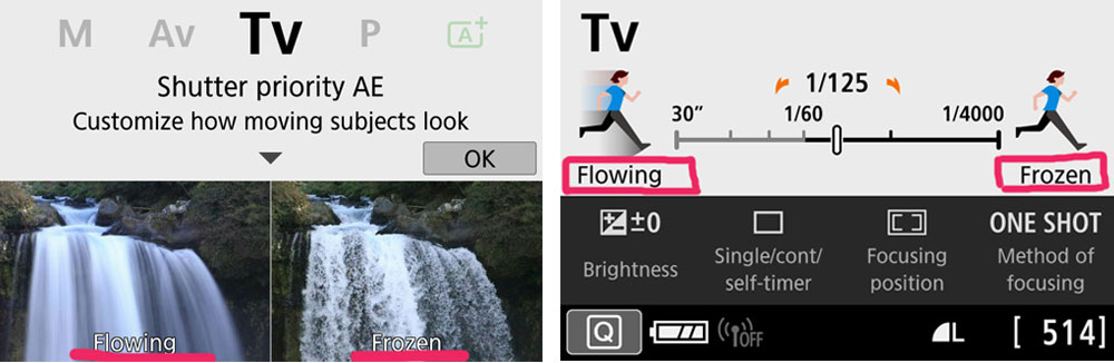 Canon Guided Display TV Mode Example