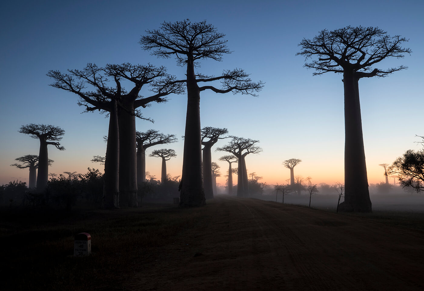Madagascar Photography Guide from Wildlife Photographer Jay Collier
