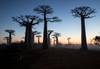 Madagascar Through the Lens of Wildlife Photographer 