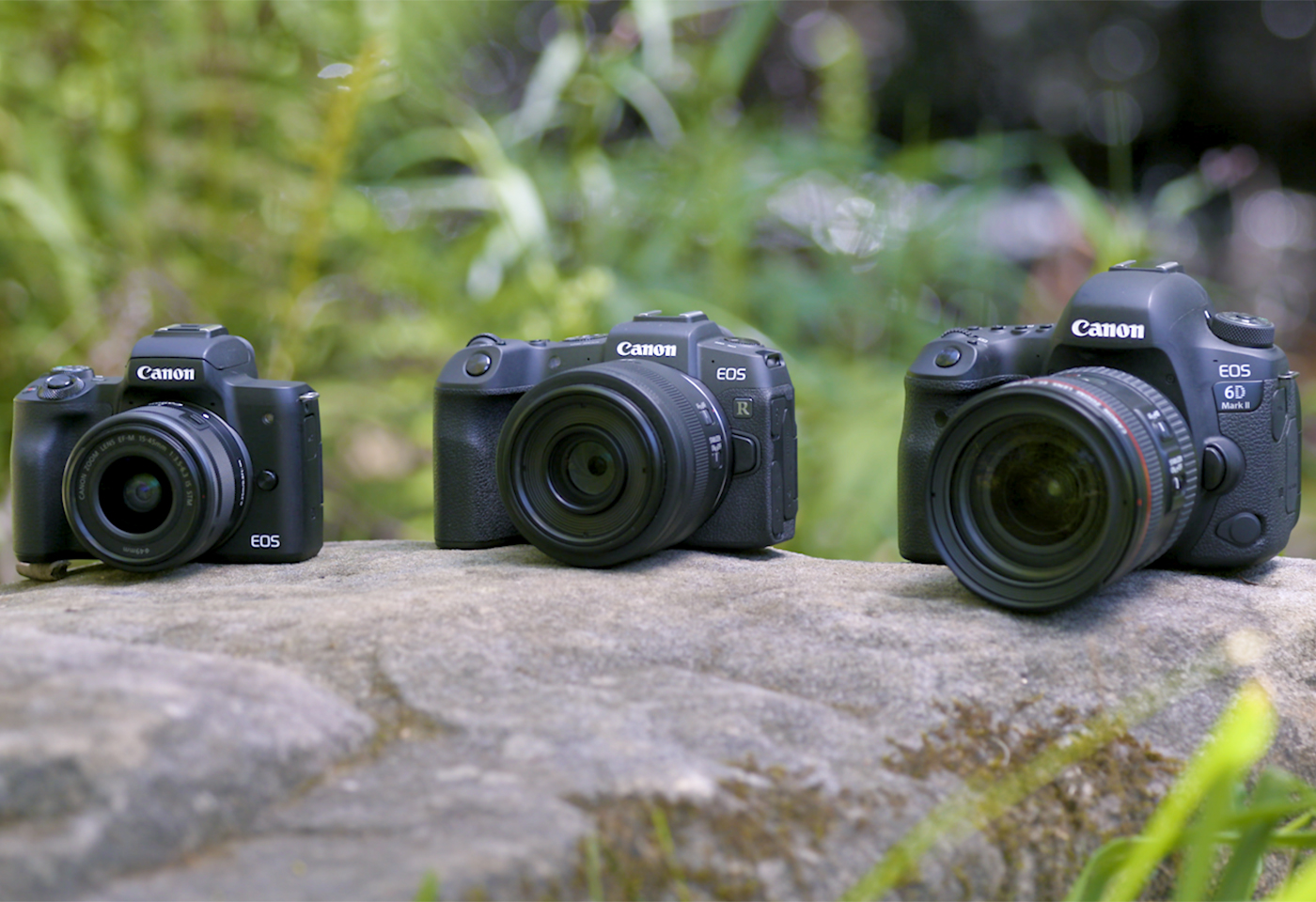 canon full frame dslr with flip screen