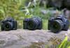 Canon Mirrorless and DSLR cameras